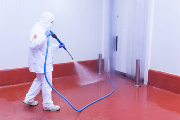 Best Dumpster Area Cleaning  in Piketon, OH